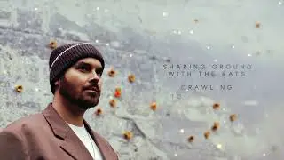 Wulf - Now Or Never (Official Lyric Video)