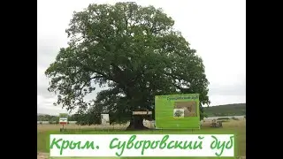 Крым  Суворовский дуб