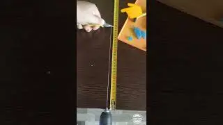 17 июля 2024 г.