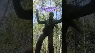 Я люблю и то и то🙃🌸🌿 на видео была в лесу🌳 @NastenkaKosh #природа #dance #настякош #котики ❤️