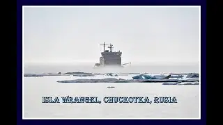 Isla de Wrangel, Chukotka, Rusia