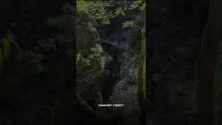#биоэнергетика