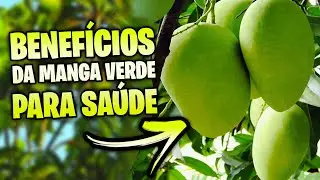 Descubra os surpreendentes benefícios da MANGA VERDE para sua Saúde!