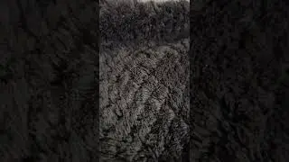 spiritul izabelic si cum sa te lupti cand esti atacat de el