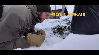 Что делает зимой садовник?