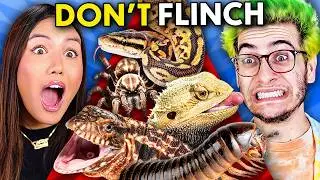 Try Not To Move Vs. Snakes, Spiders, and Lizards