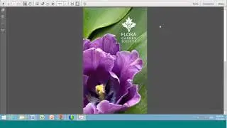 DropBox Workflows