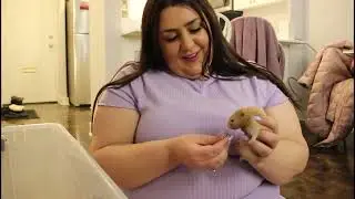 Vlog: Getting A Hamster 🐹