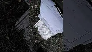 Зимовка пчел на 2 рамки