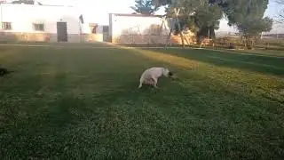 Eolo en estado puro