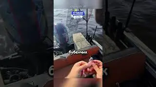 Годный лайхак для рыбаков 😅😅😅