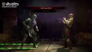 Mortal Kombat 11 Falality Video