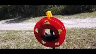 Rotational paddock system | Electric fence rotational paddock for our pigs | Forest raised pig