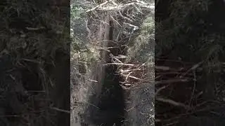 Хрестовоздвиженська 3