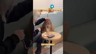 Кофе с капибарой в Японском кафе  