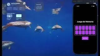 SwiftUI & Xcode 16: How to make a [Memory Game] SwiftUI - Xcode 16 - iOS 18