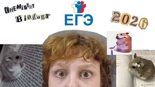 сдаю ЕГЭ 2026 + реакция на баллы