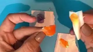 Is your Polish really cured?