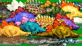 All Dinosaurus   Siwiming Stampede Green Screen Blue Screen Black Screen HD Green Screen Video Dino
