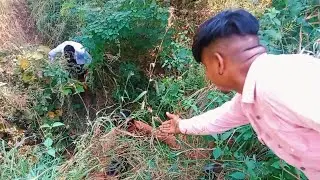 जंगल मे मंगल ऐक बार जरुर देखना Jungle Mein Mangal Jungle Mein Ek Murti Mila subscribe to my channel