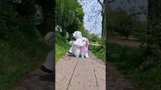 Добавьте в свою жизнь немного сказки