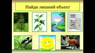 Десять фото, для сайта
