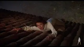 Bloodline (1979) [Vinegar Syndrome Labs Blu-ray Promo Trailer]