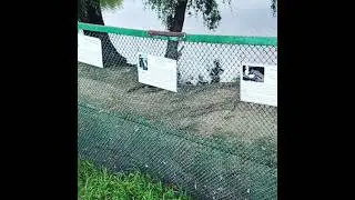 Зоопарк.