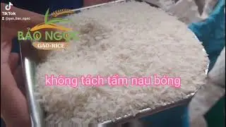 Gạo st25 nguyên cám