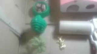 Город