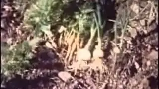 4 Один в Дикой Природе Изготовление инвентаря