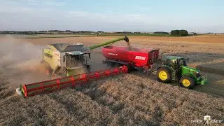 🌾 Moisson 2024 🌾 / CLAAS Lexion 8700 TT & JD 6250R & PERARD interbenne 46 M3 / SARL Dendauw