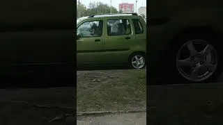 Собакины в автомобиле 🤣 