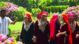 Srinagar Trip (Day 2-2)