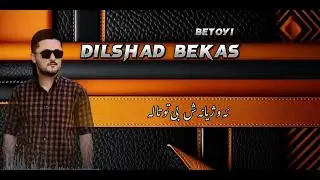 dilshad bekas - bêtoyi 2024