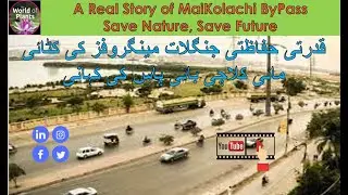 Mai Kolachi ByPass Karachi Clifton || Mangroves Protection || Halophytes || Save Nature Save Future