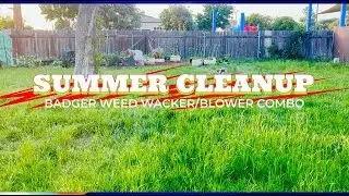 SUMMER OUTDOOR CLEANUP | Garden & Patio | Affordable CORDLESS WEED WACKER & LEAF BLOWER