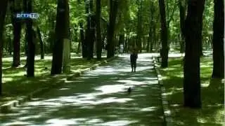 СТУДЕНЧЕСКИЙ ПАРК НА КАНИКУЛАХ (Золотая лента)