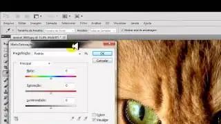 Como remover a Saturação de uma imagem com Photoshop