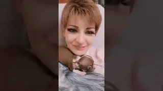 31 марта 2022 г.