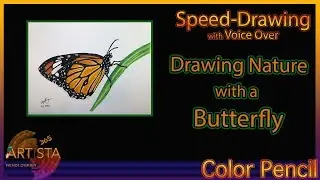 Butterfly on a Leaf with Voice Over | Nature with Colored Pencil