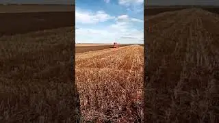Дт 75 смд 18 пахота