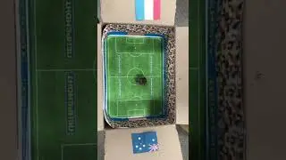 Прогноз на матч Франция - Австралия от хомяка-оракула!