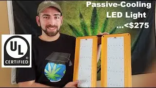 What Is UL Certification & Color Rendering Index (CRI) + Yearld Pro 170W Unbox