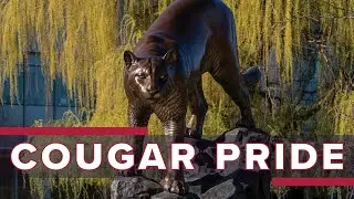Cougar Pride at WSU Spokane