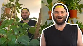 Come see all my house plants tour 🌿🍃