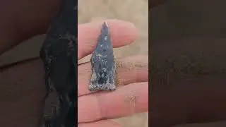 Очень древние артефакты в наших степях 