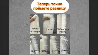 Что за зверь этот мех?