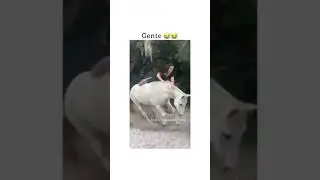 😂😂😂 