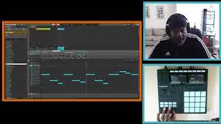 Maschine - Sample Beats - attacked by Seagull AND Family